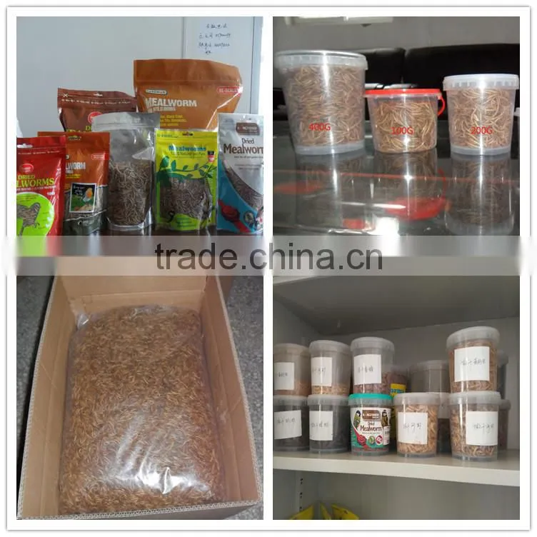 2.5---2.8cm dried Mealworm for Pet (cat ,dog and chicken) food