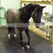 Horse stable mat cow stable mat