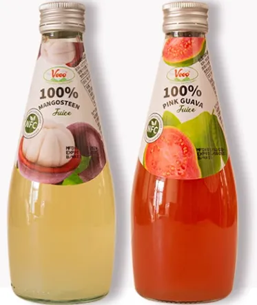 Mangosteen Juice Processing Machine Line