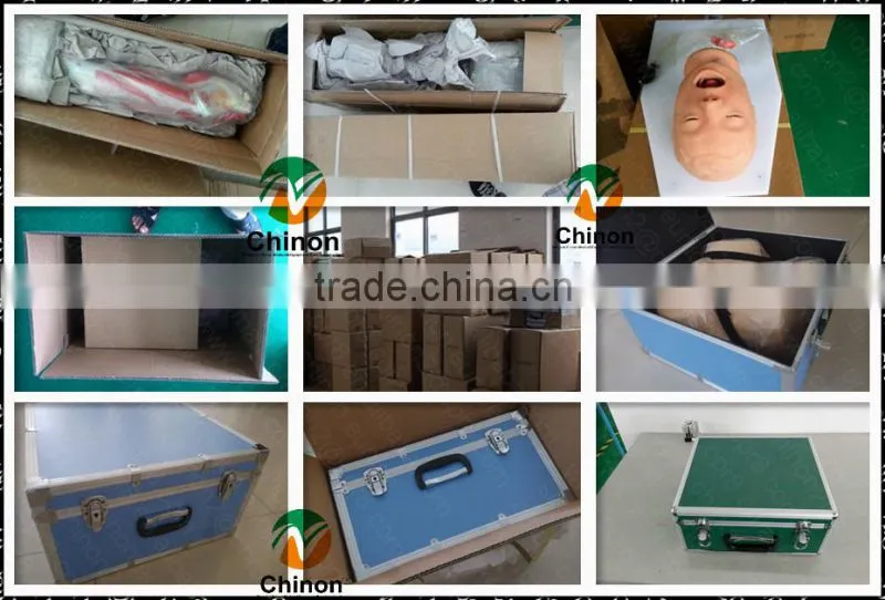 High Quality Ear Chinese Acupuncture Model