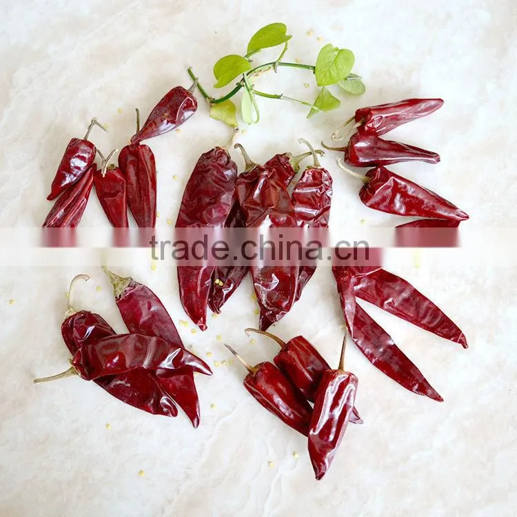 Dry Red Chili for sale