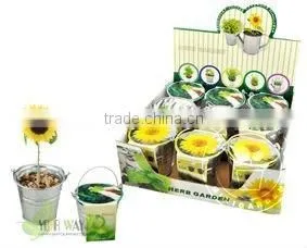 herb garden for mini watering pot