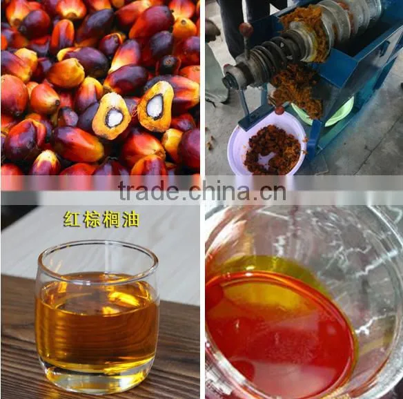 palm oil press machine provided by the professional manufacturer