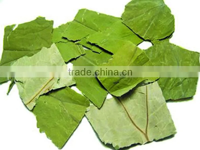 Top quality Chinese natural herb slimming tea and remove heat lotus leaf herbal tea