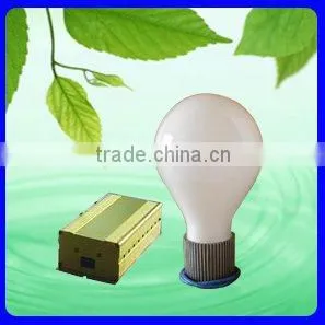 Electrodeless induction light with LVD bulb design