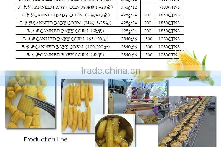CANNED JAR sweet baby corn to RUSSIA HIGH QUALITY super sweet canned food NO GMO TAIWAN yellow baby corn raw material