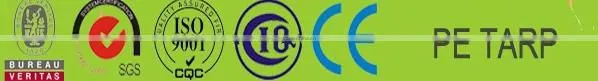 lightduty cheap pp tarpaulin export to pakistan