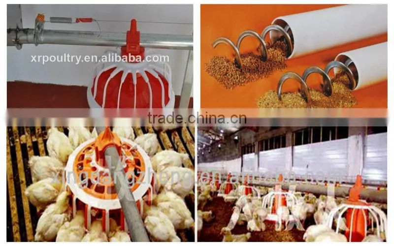 Turnkey project professional automatic poultry chicken farm house