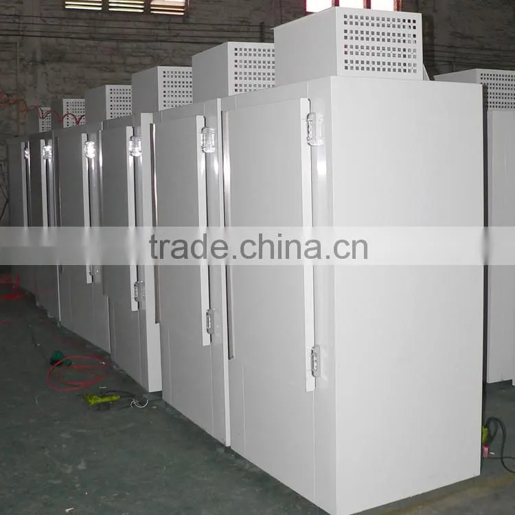 Outdoor Ice merchandiser for 3kg ice bag storage