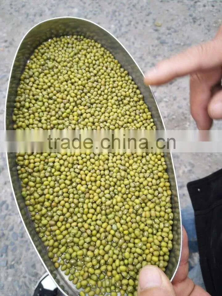 High quality organic Green mung beans for sale