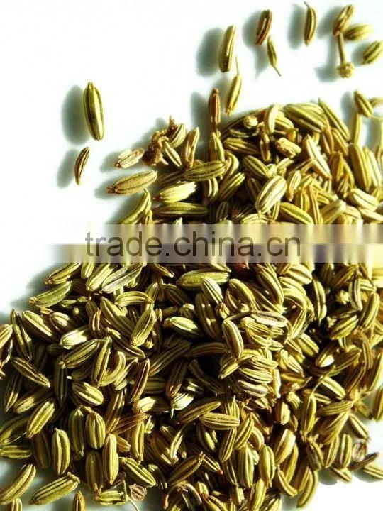 Pure Ajwain Oil