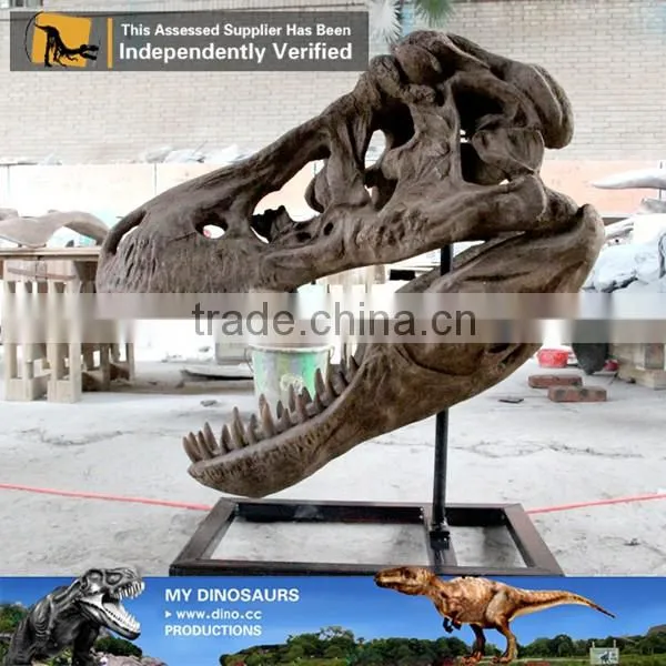 MY Dino-C085 Resin dinosaur head skeleton