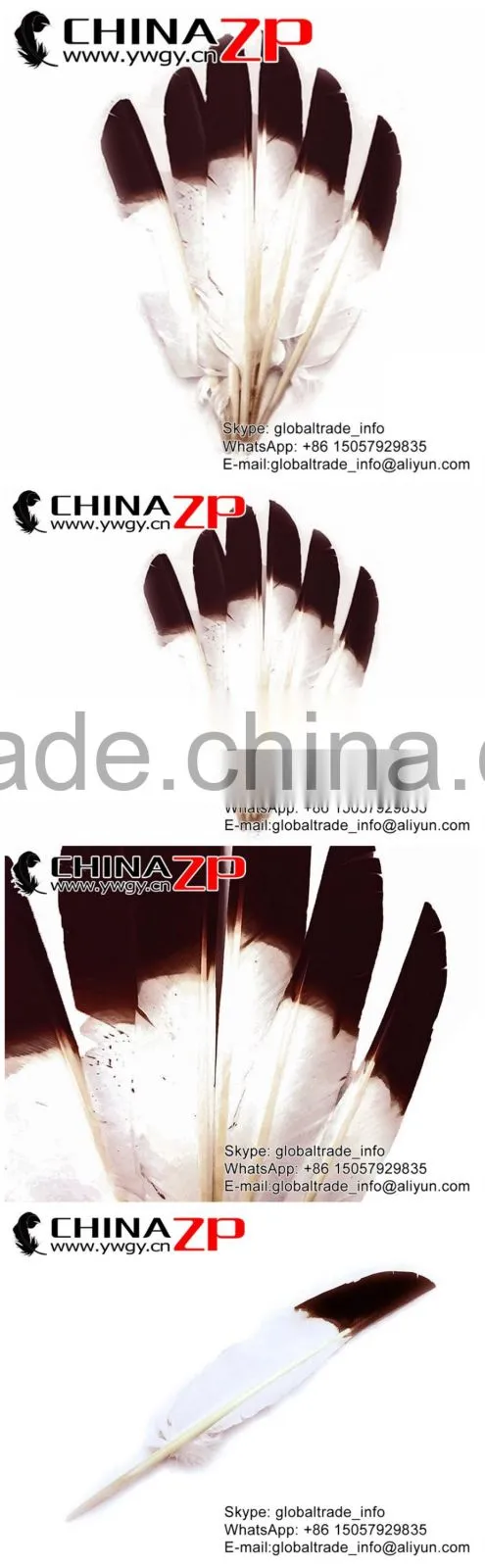 ZPDECOR Hot Selling Plumag Crafts Factory Dyed Brown Tipped Turkey Pointers Quill Large Feathers for Fashion Decorations