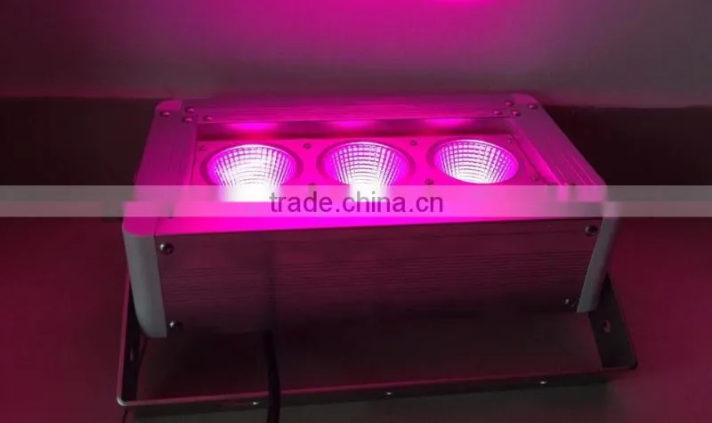 ip65 high quanlity c-tick ce rohs single color/dmx rgb led floodlight