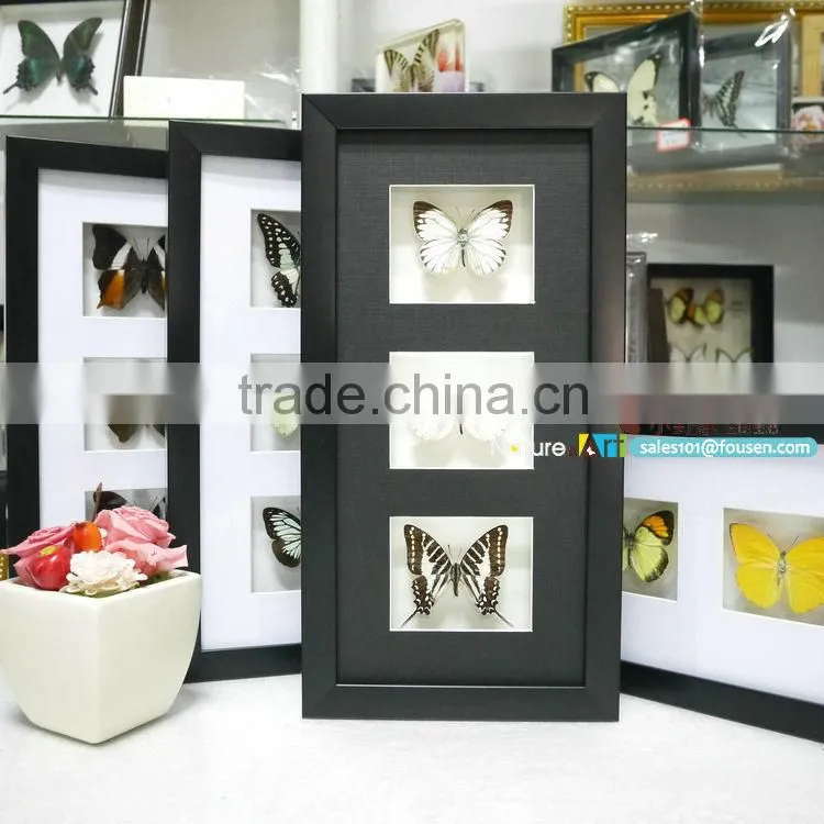 FOUSEN(023) Nature& Art framed natual real dried butterfly art set