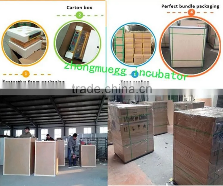 hot sell 176 capacity chicken egg incubator factory directly supply