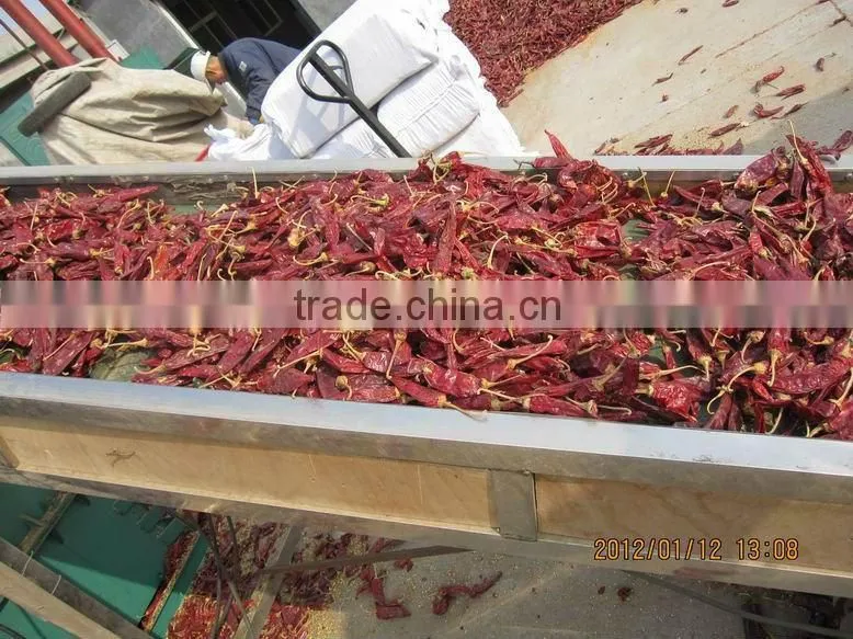 dried red chilli
