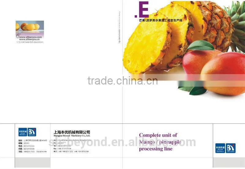 Complete Pineapple Fruit Processing Line