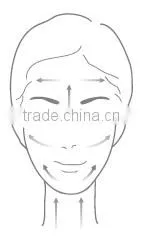 Cheap Hot Sell Facial Electronic Mini Galvanic SPA with CE