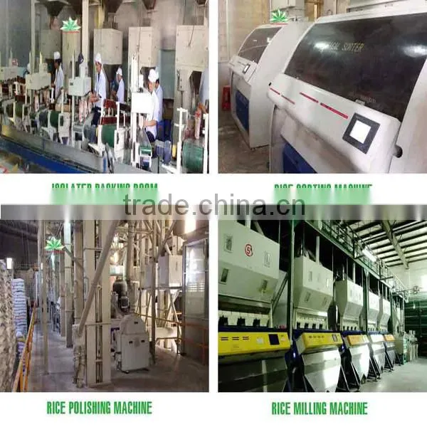 BEST JAPONICA ROUND RICE <5% BOKEN> - CHEAPEST PRICE_HIGH QUALITY - CURRENT RICE