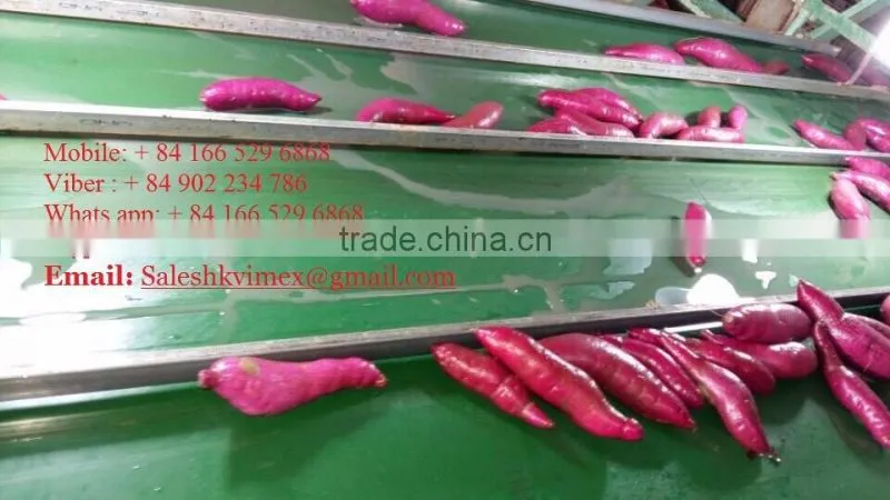 Viet Nam Sweet Potato