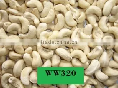 DRIED CSSHEW NUTS HIGH QUALITY FROM VIET NAM