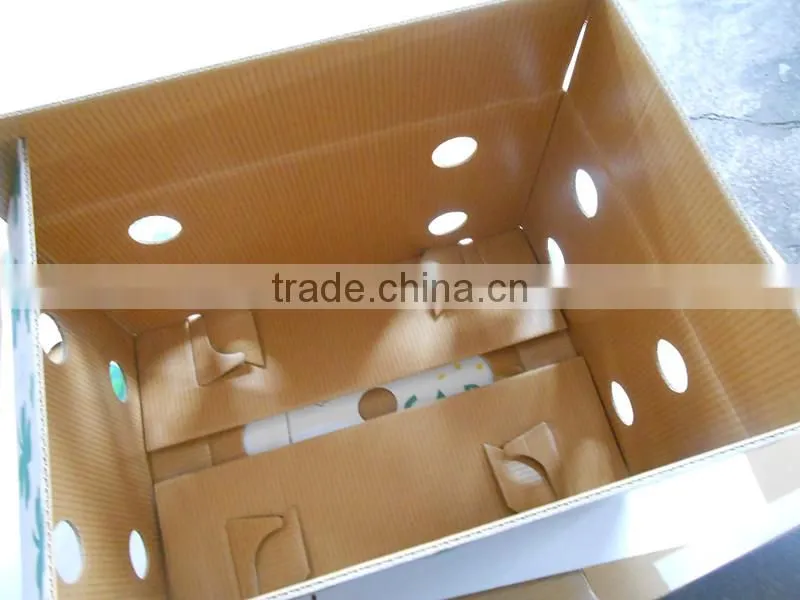 frozen fish packaging boxes
