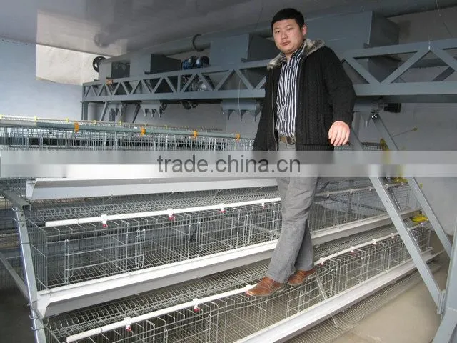 Hen Farm Equipment of galvanized bridge steel to Africa lagos