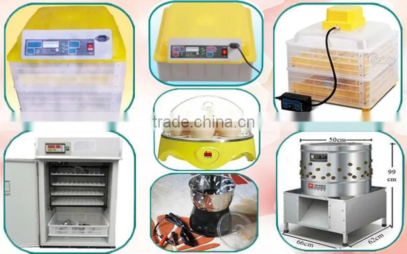 HHD Full Automatic holding automatic 48 eggs incubator chicken eggs for sale EW-48