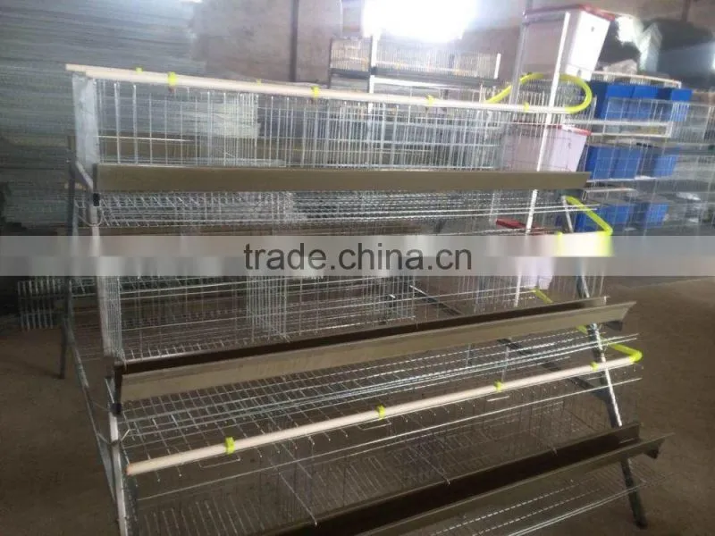 FRD 2016 Poultry farm equipment automatic battery design chicken egg layer cages /bird cage for sale/decorative bird cages