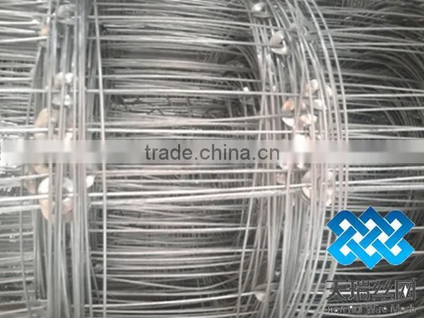 High Zinc Grassland Fence/Cattle Fence ( Factory)