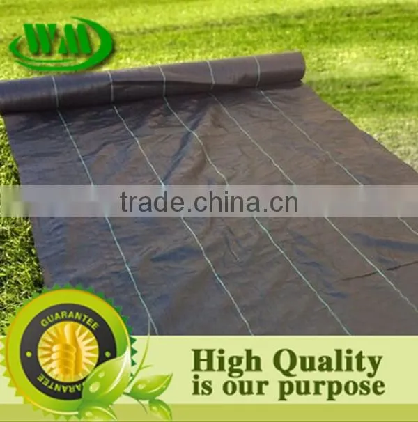 tree weed mat