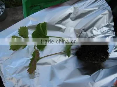 Hanging planting bags,Hanging Flower Pouches,Hanging Plant Bag