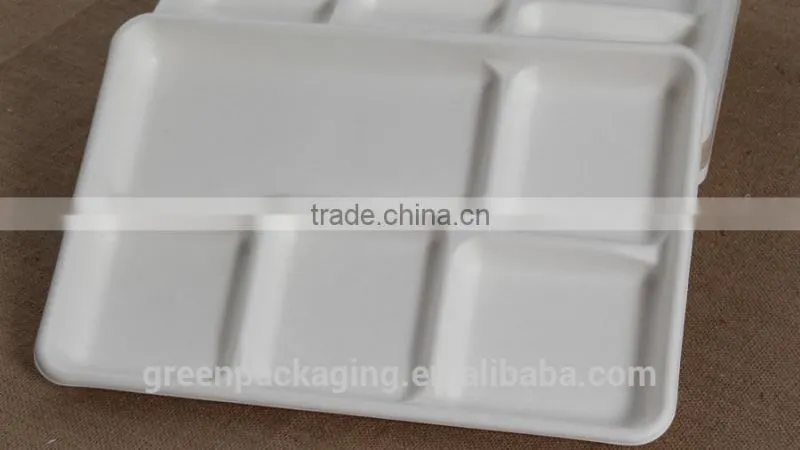 5 compartment shallow tray from sugarcane