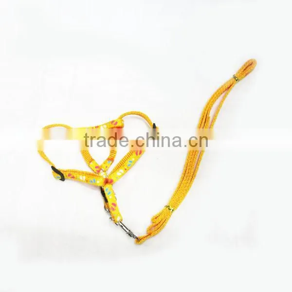 Dog leash /Pet leash