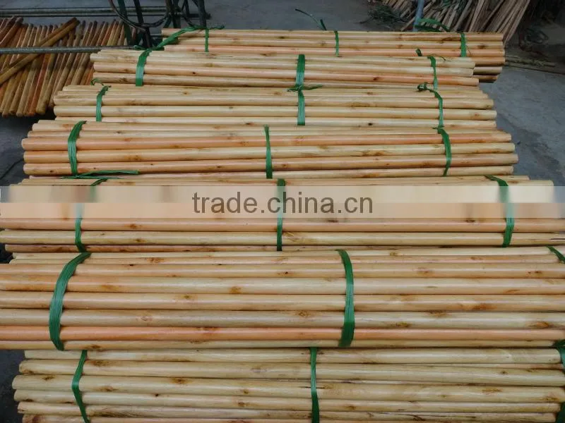 Varnished wooden broom handle with high quality