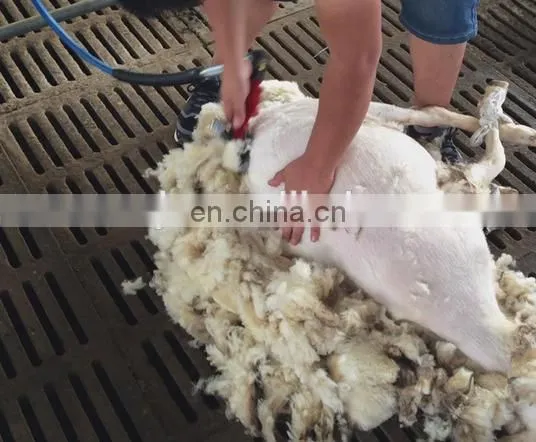 Electric sheep wool cutting scissors// animal hair clipper//horse and cow hair cutter