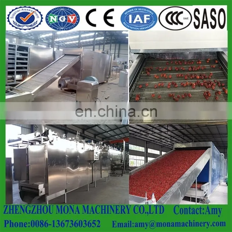 Industrial/commercial tunnel mango microwave dryer/drying machine/dehydrator