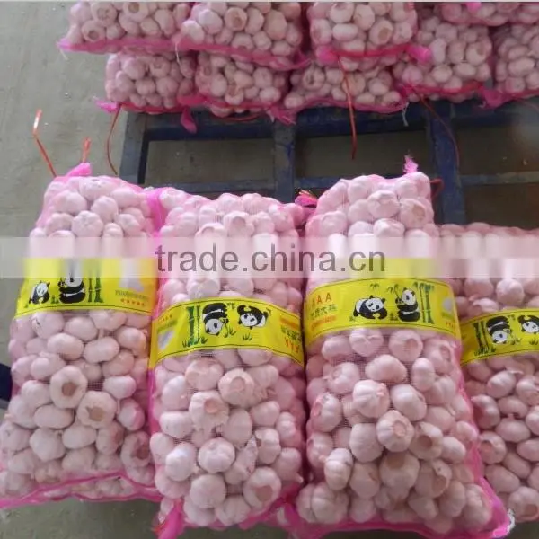 fresh normal white garlic in 10kg mesh bag