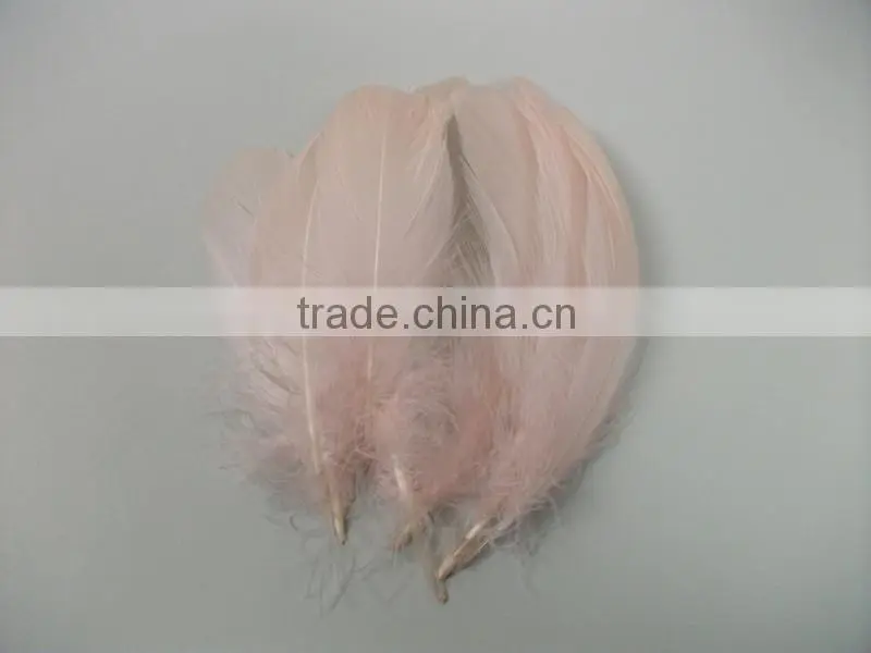 Feather For DIY Decorate Cheap