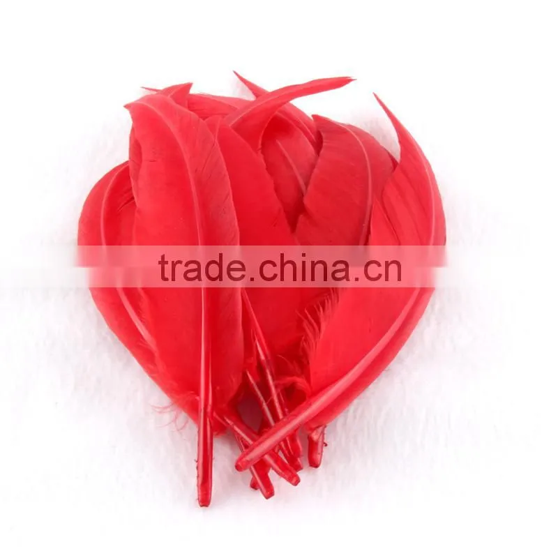 wholesale dyed purple Goose feathers suppliers