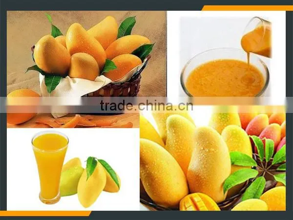 Leader excellent performance mango peeling and pulping machine for juice