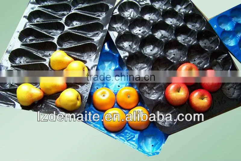 Fresh Tomato Tray Packaging