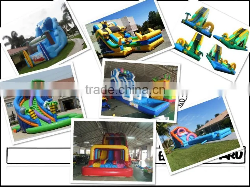 SeaWorld inflatable pool slide,used inflatable water slide and pool for sale,entertaining inflatable water park wholesale