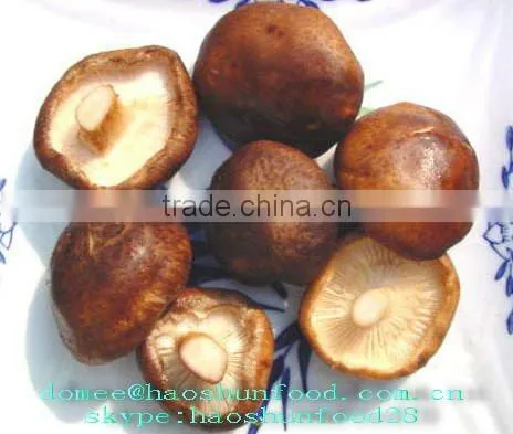 Canned Whole Shiitake Mushroom Nutritious Recipes