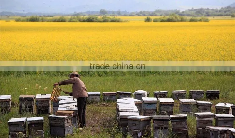Wholesale pure natural cosmetic grade beeswax