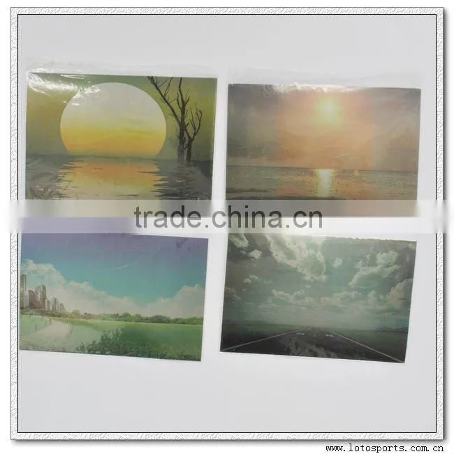 2012 polarized sunglasses test cards