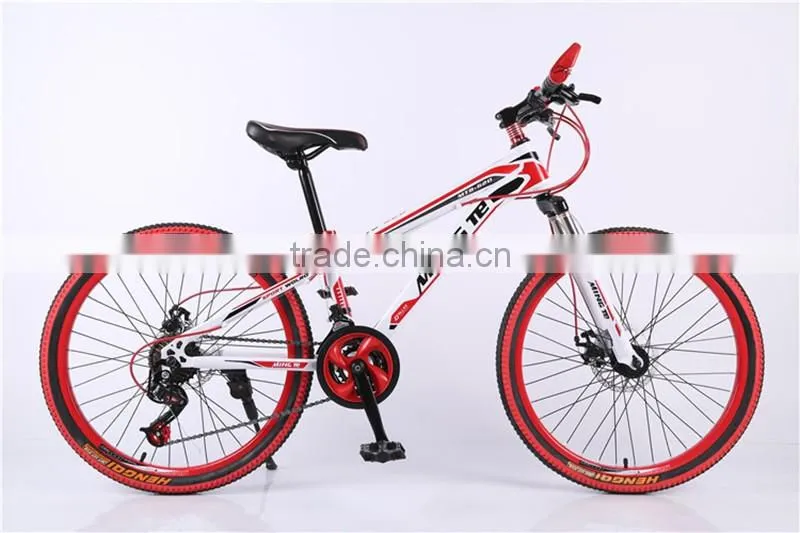 24-inch mountain bike 21 speed dual disc brakes mountain bike