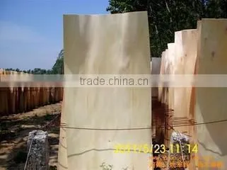 1.5mm Poplar core veneer 1270x840/640mm for Egypt market