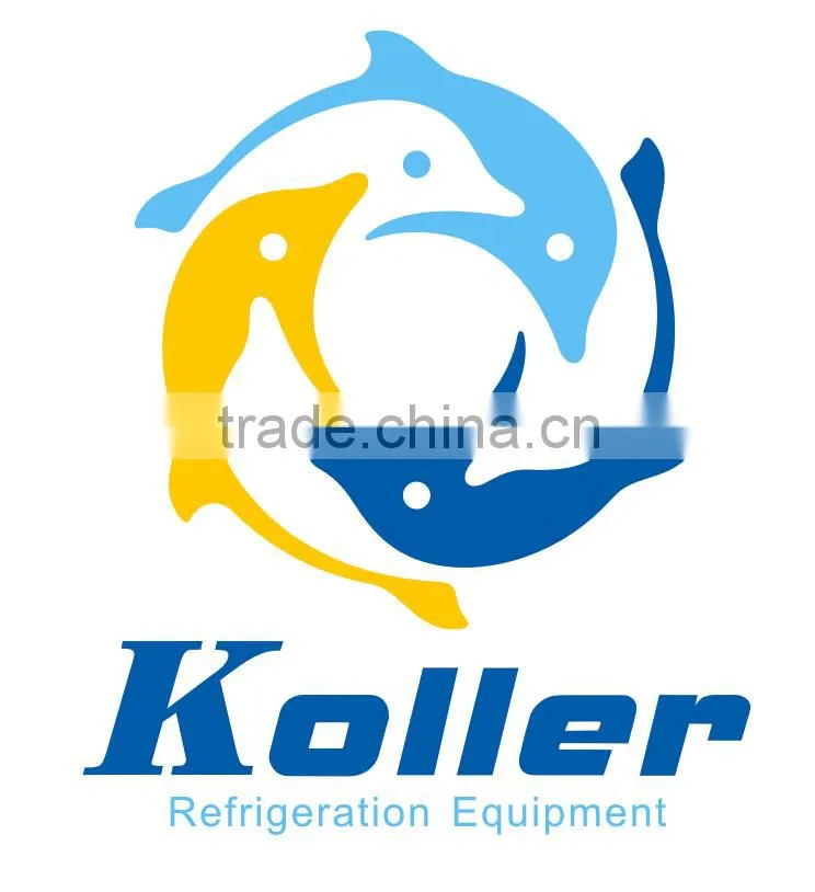 Koller small Capacity salt water ice block machine for fishing (MB20)